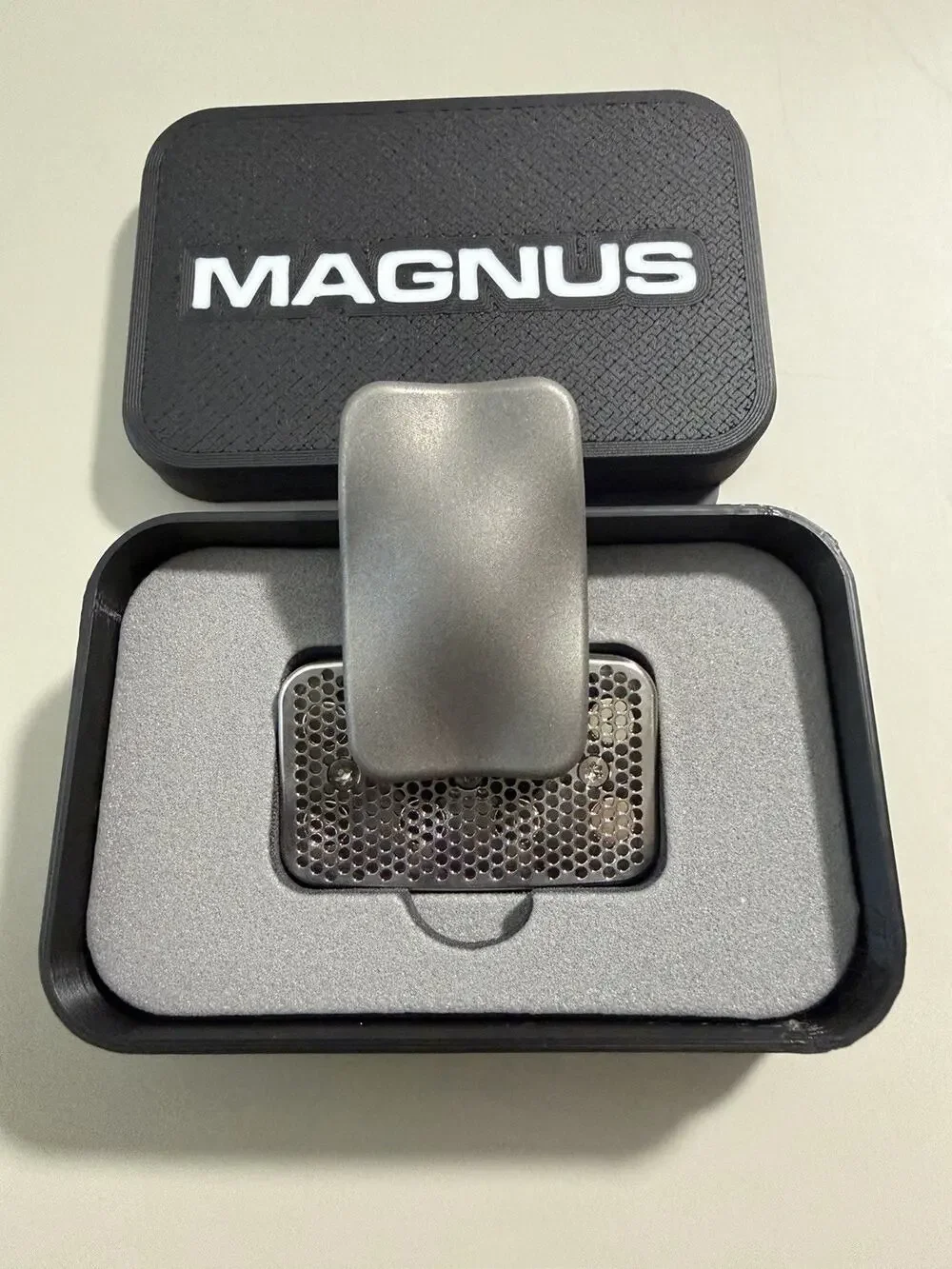 🔥Magnus Pulse Titanium Stone Washed & Stainless E48 Skelly Fine Plates BNWT🔥